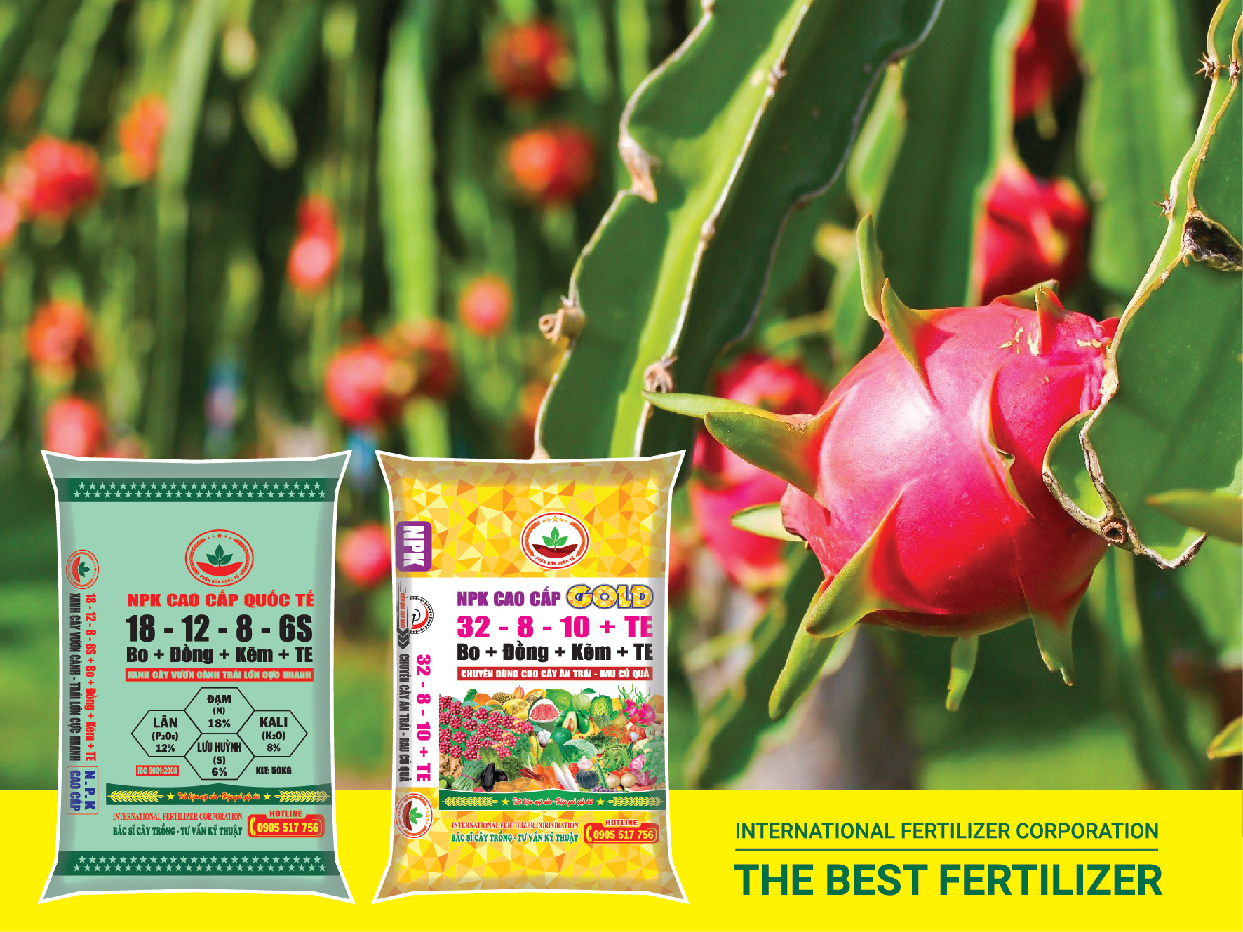 HƯỚNG DẪN SỬ DỤNG PHÂN BÓN QUỐC TẾ BÓN CHO THANH LONG